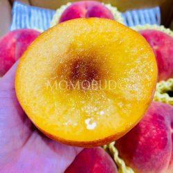 Japanese Kinrara no Kiwami Golden Peach cross section