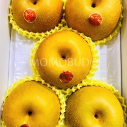 Japanese Tottori Shinkansen Pears Japanese Tottori Shinkansen Pears