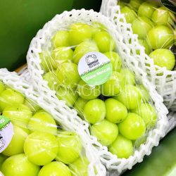 Korean Tamtam Shine Muscat Grapes packs