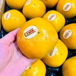 Spain Maxim Persimmon