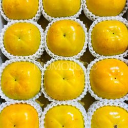 Japanese Ehime Taishu Persimmons