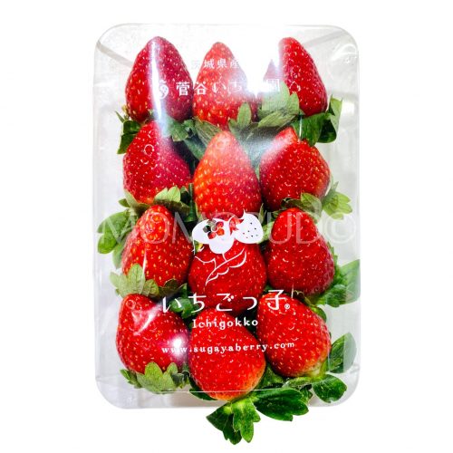 Japanese Ibaraki Ichigokko Strawberry Pack 250g