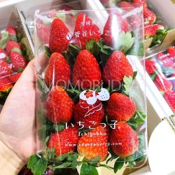Japanese Ibaraki Ichigokko Strawberry pack