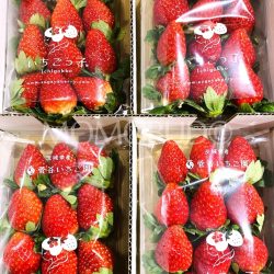 Japanese Ibaraki Ichigokko Strawberry packs