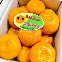 Japanese Mihama House Mikans