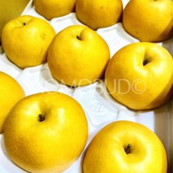 Japanese Niitaka Nashi Pears