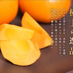Taishuu Persimmon slices