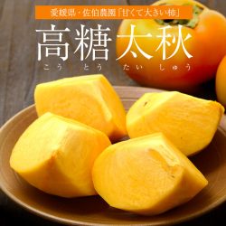 Taishuu Persimmons