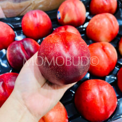 Australian Sunnyside Vineyards White Nectarine