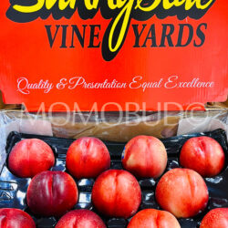 Australian Sunnyside Vineyards White Nectarine Box