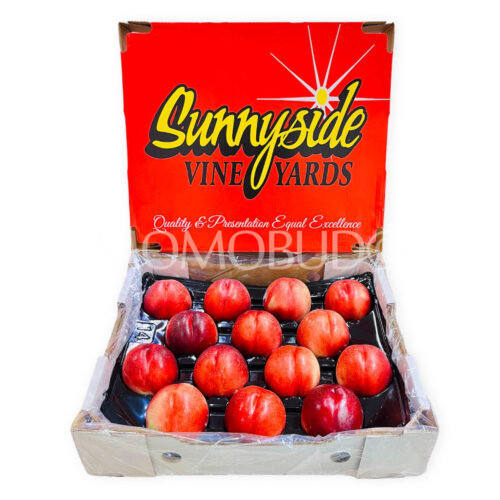 Australian Sunnyside Vineyards White Nectarine Box