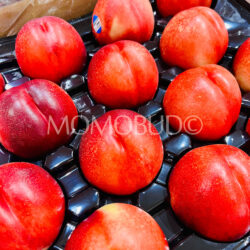 Australian Sunnyside Vineyards White Nectarines