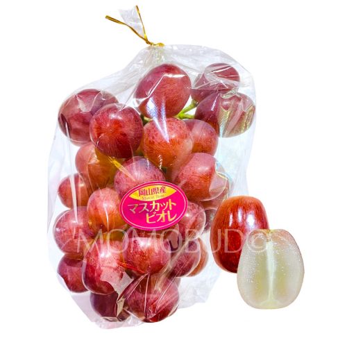 Japanese Okayama Muscat Biore Grapes Pack