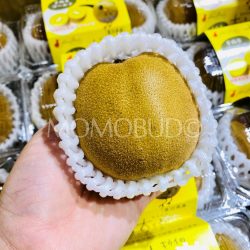 Japanese Sanuki Gold Kiwi