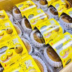 Japanese Sanuki Gold Kiwi Packets