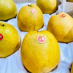 Japanese Tottori Oushuu Pears Japanese Tottori Oushuu Pears