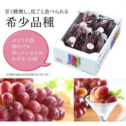 Okayama Muscat Biore Grapes