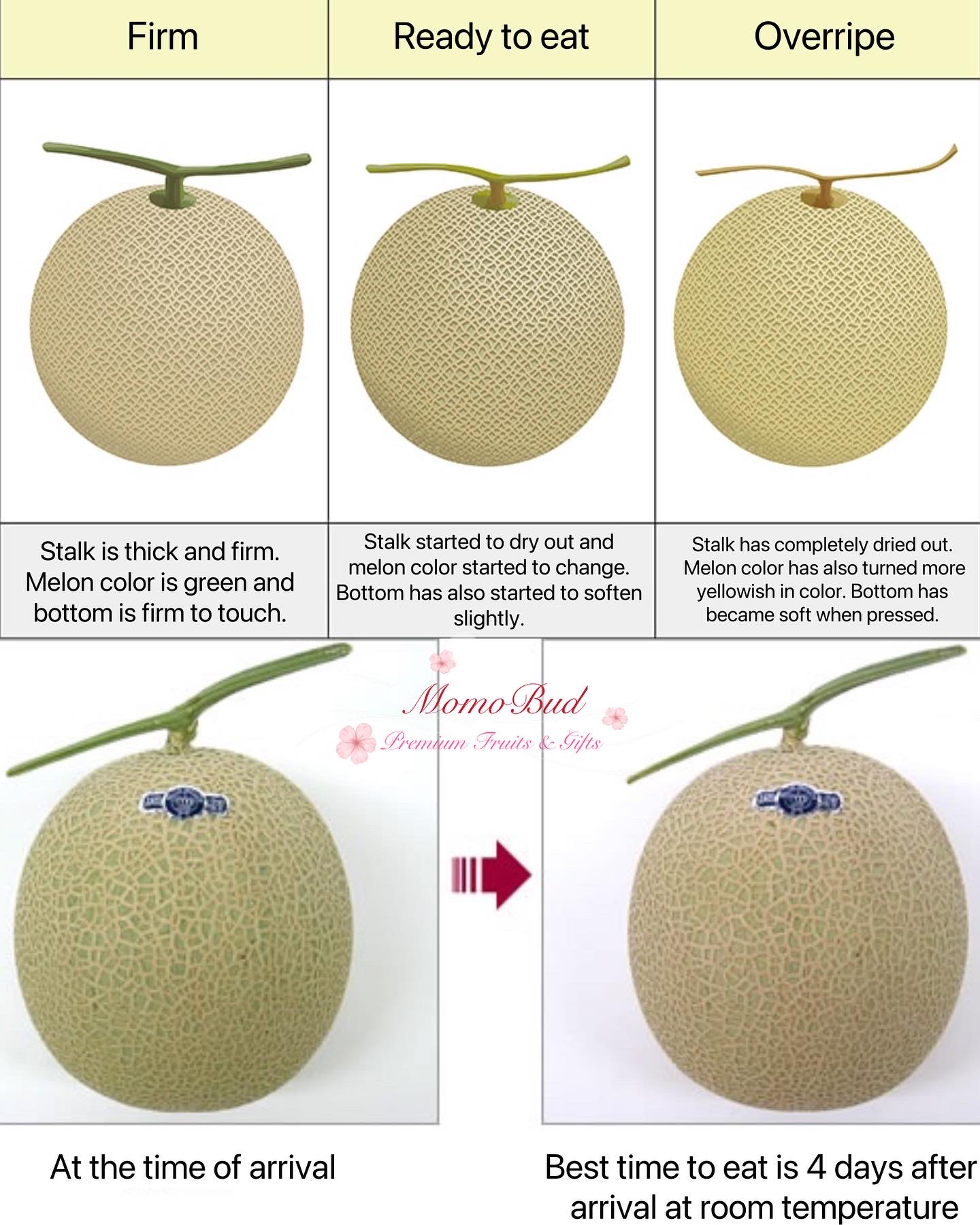 How To Identify If Your Melon Is Ripeoverripespoilt — Momobud