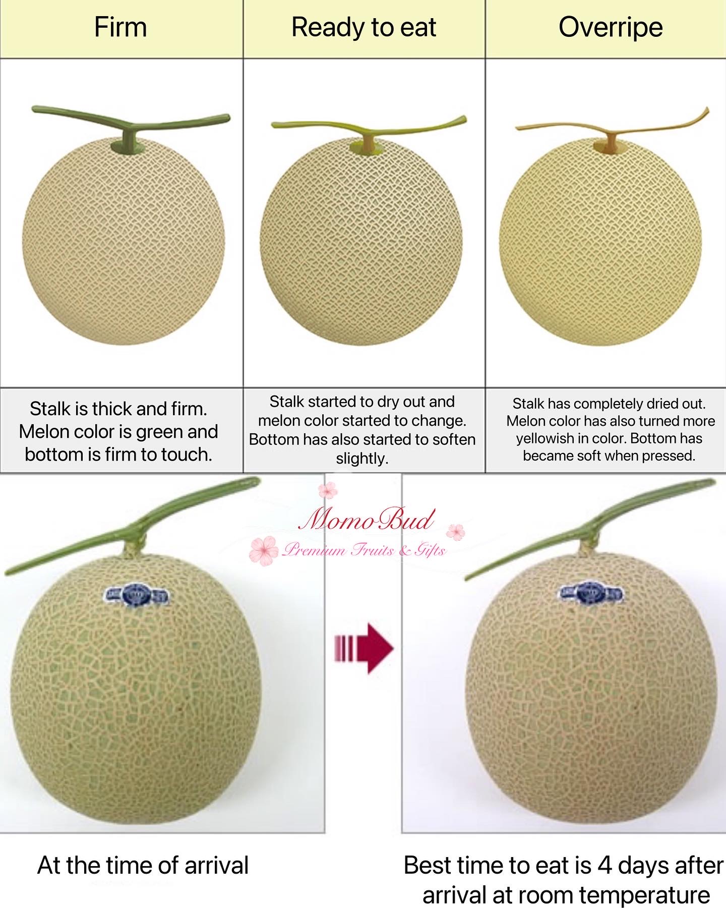 How to identify if your melon is ripe/overripe/spoilt? — MomoBud