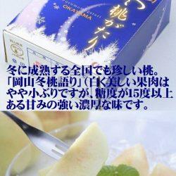 Japanese Okayama Fuyumomogatari White Peach