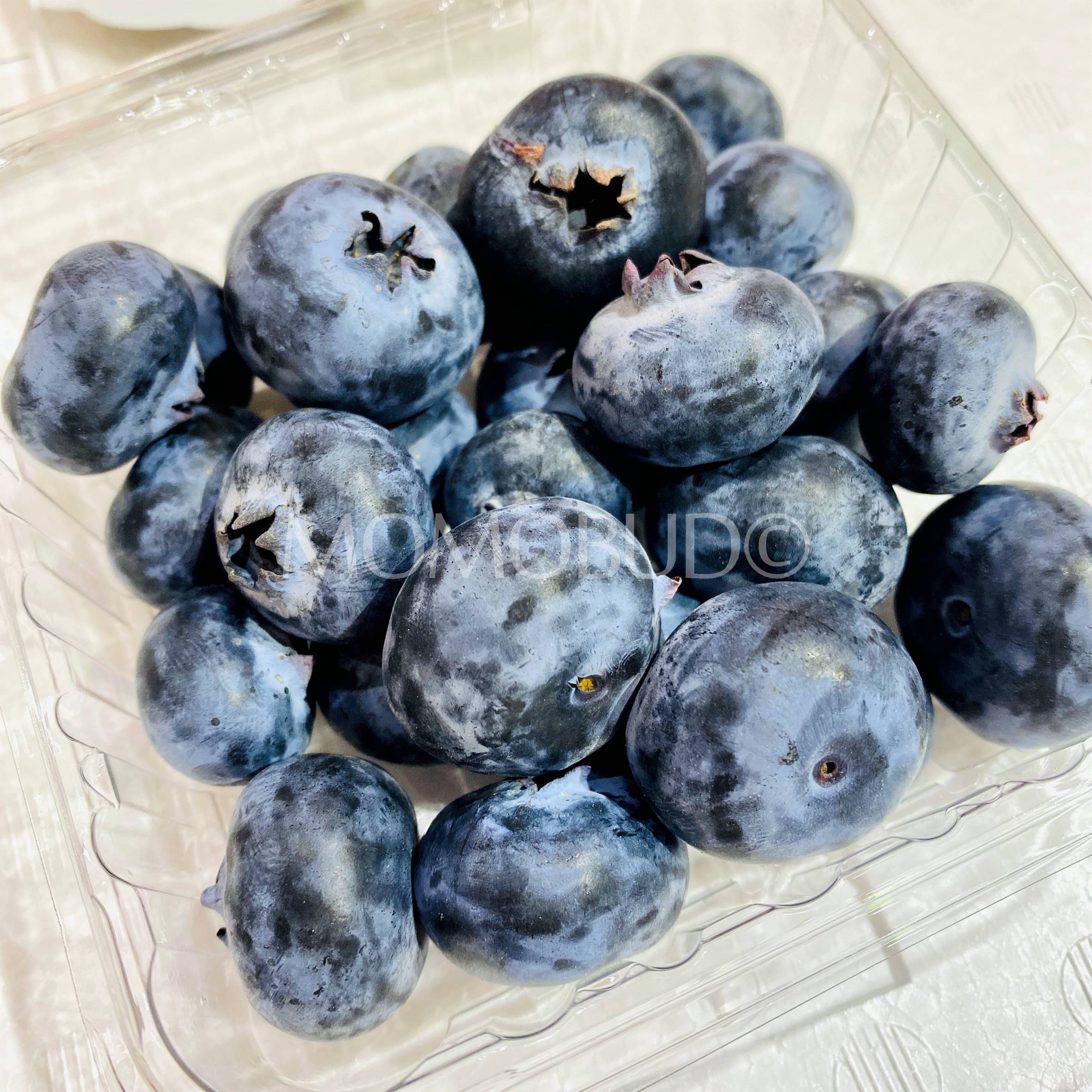 African Blue JUMBO Blueberry Bundle (125gx2) – FattFruits