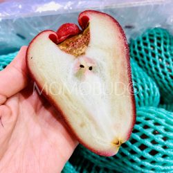 Taiwan Jambu cross section Taiwan Jambu cross section