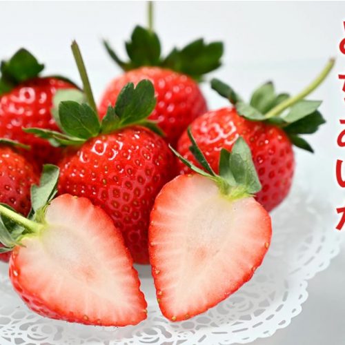 Jumbo Japanese Tochiaika Ichigo (Strawberry, 500g pack) — MomoBud