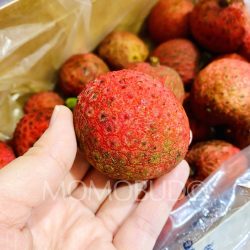 Australian Kaimana Lychee size