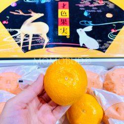 Wakayama Saishoku Kajitsu Mikan