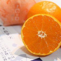 Wakayama Saishoku Kajitsu Mikan cross section