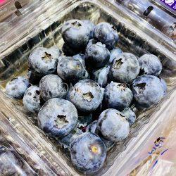 Jumbo Big Skye Blueberries