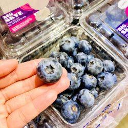 Jumbo Big Skye Blueberry