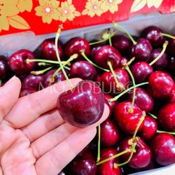 NZ Cherry Delight Staccato Red Cherry