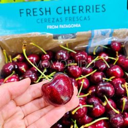 Patagonia Lapin Red Cherry