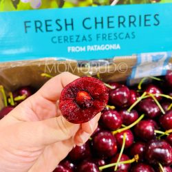 Patagonia Lapin Red Cherry cross section