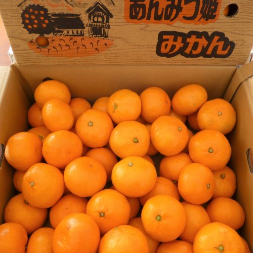 Anmistsuhime Mikan Box