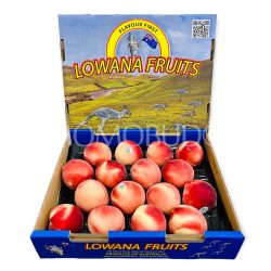 Australia Lowana Autumn Snow White Peach Box