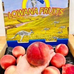 Australia Lowana Autumn Snow White Peach on hand