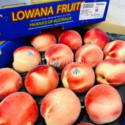 Australia Lowana Autumn Snow White Peaches