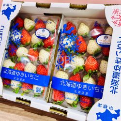 Japanese Hokkaido Suzu Yukibotan Snowberry Tray 1