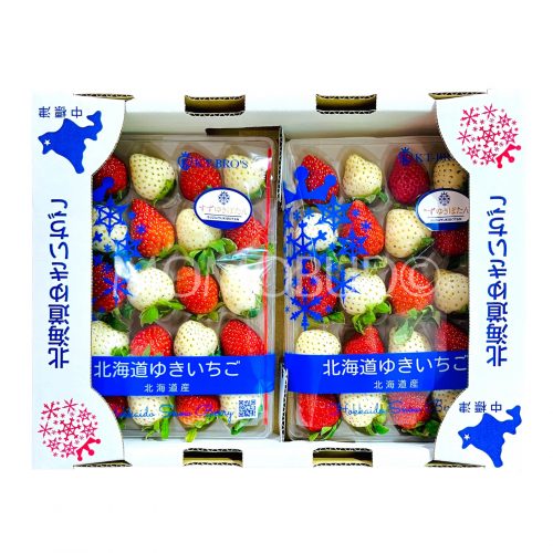 Japanese Hokkaido Suzu Yukibotan Snowberry Tray