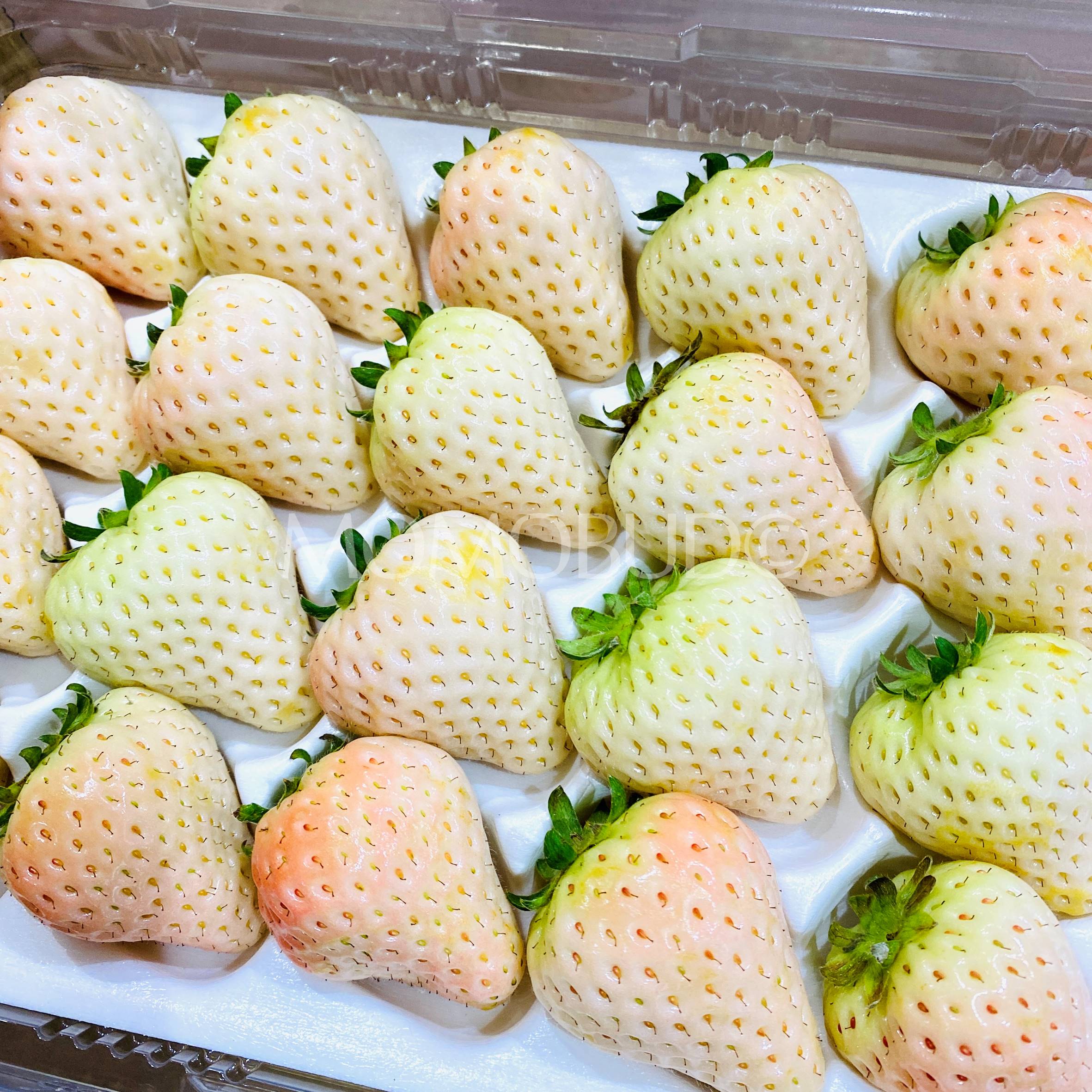 Korean Milk White Strawberry (500g punnet) — MomoBud