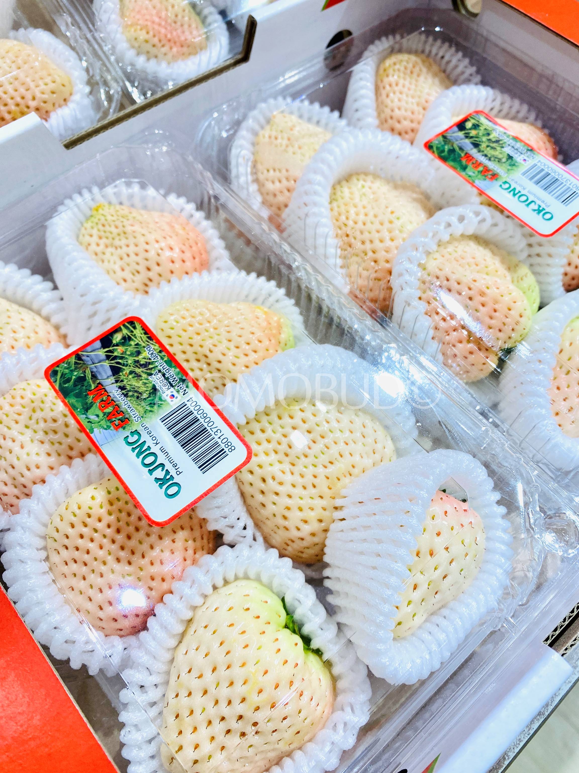 Jumbo Korean Milk White Strawberry 400g Punnet — Momobud