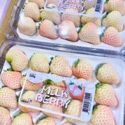 Korean Milk Strawberry 500g punnets Korean Milk Strawberry 500g punnets