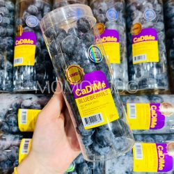 Peru Jumbo CaDiMe Ozblu Blueberry 200g punnet