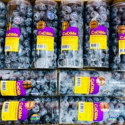 Peru Jumbo CaDiMe Ozblu Blueberry 200g punnets