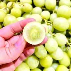 Australia LunaFresh Premium Sweet Globe Green Seedless Grapes cross section