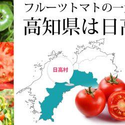 Bianco Tomato production origin