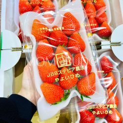 Japanese Chiba Yayoihime Strawberry 250g pack