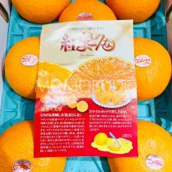 Japanese Ehime Benimadonna Orange brochure (Orange Box)